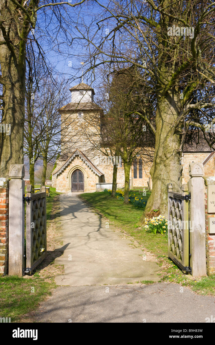 Wotton église avec des jonquilles, près de Dorking, Surrey, UK Banque D'Images