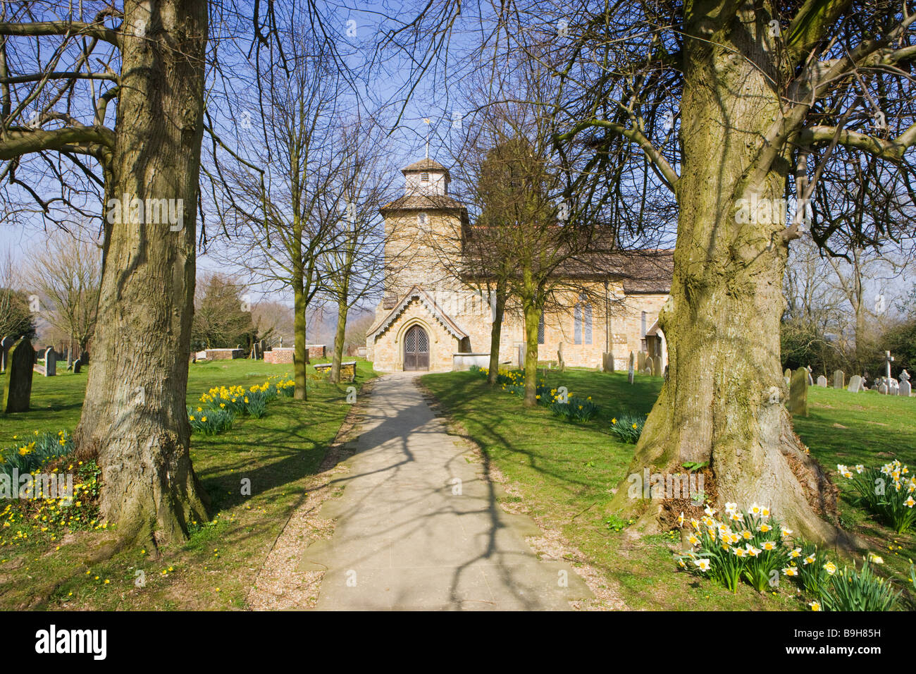 Wotton église avec des jonquilles, près de Dorking, Surrey, UK Banque D'Images