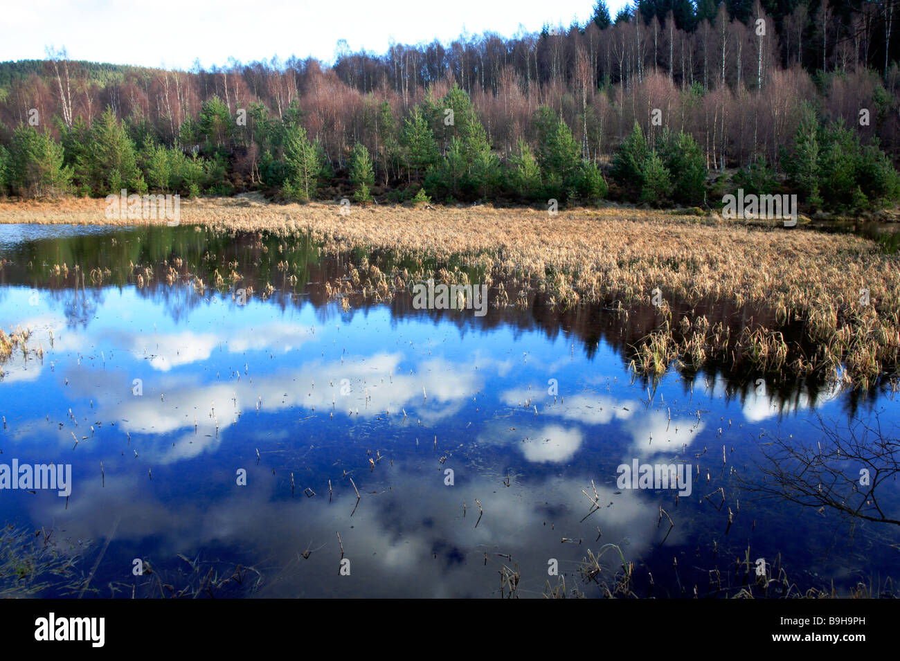 La fée lochan avec Glen Tanar dans réflexions ciel, Aberdeenshire, UK. Banque D'Images