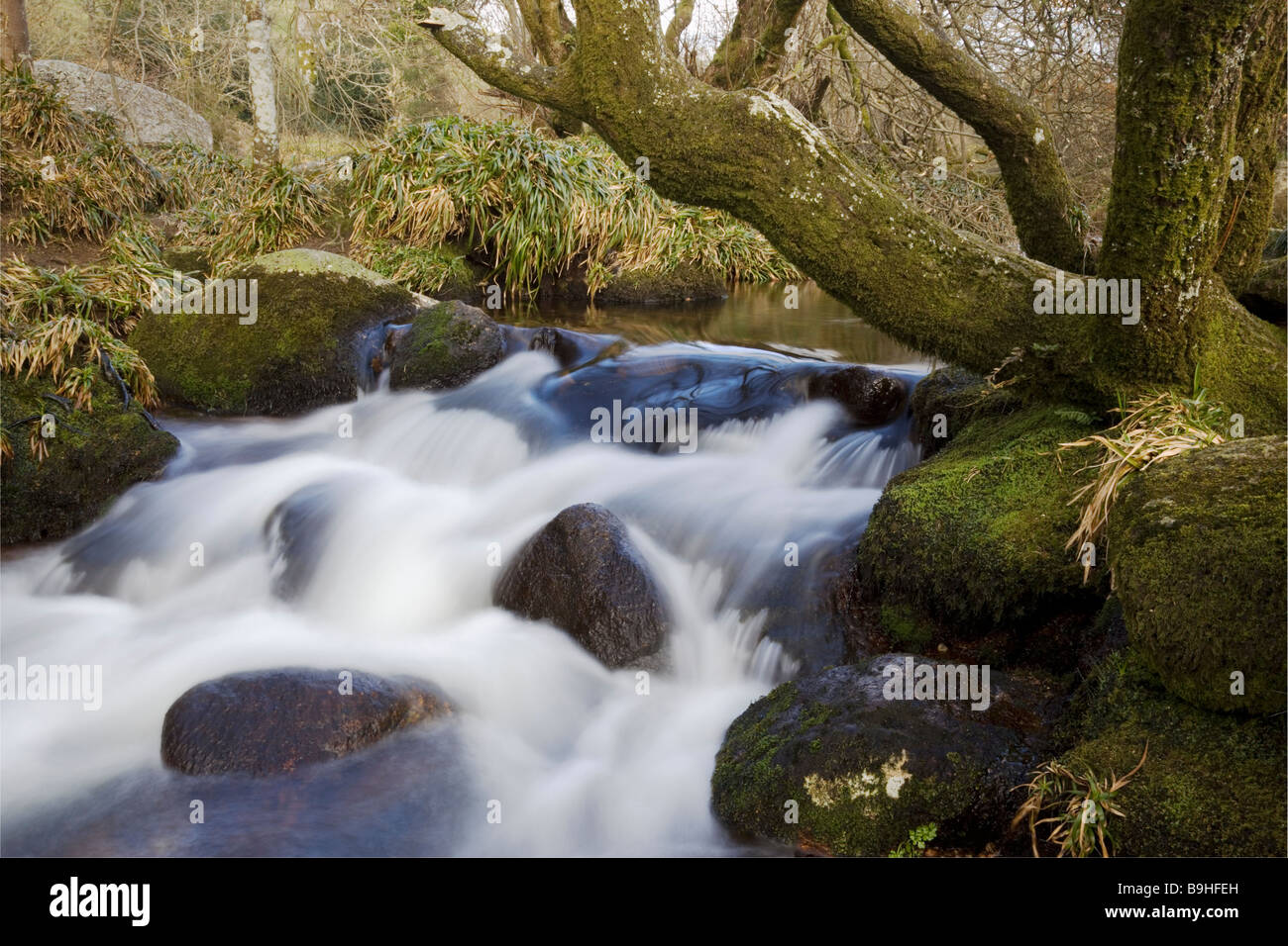 Cascade sur la rivière Dart, près de pont de Hexworthy Banque D'Images