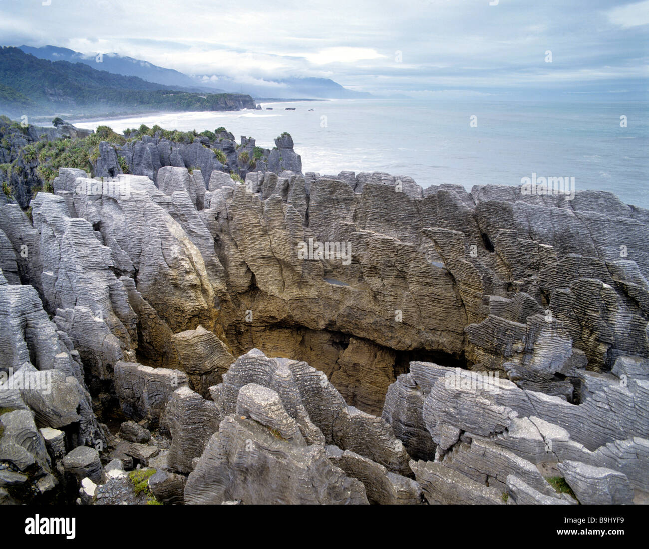 Pancake Rocks, parc national Paparoa Punakaiki,, île du Sud, Nouvelle-Zélande Banque D'Images