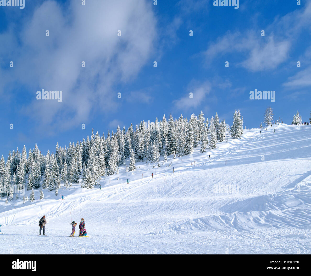 La neige paysage d'hiver, ski, ski, neige fraîche, Salzburger Land, Autriche Banque D'Images