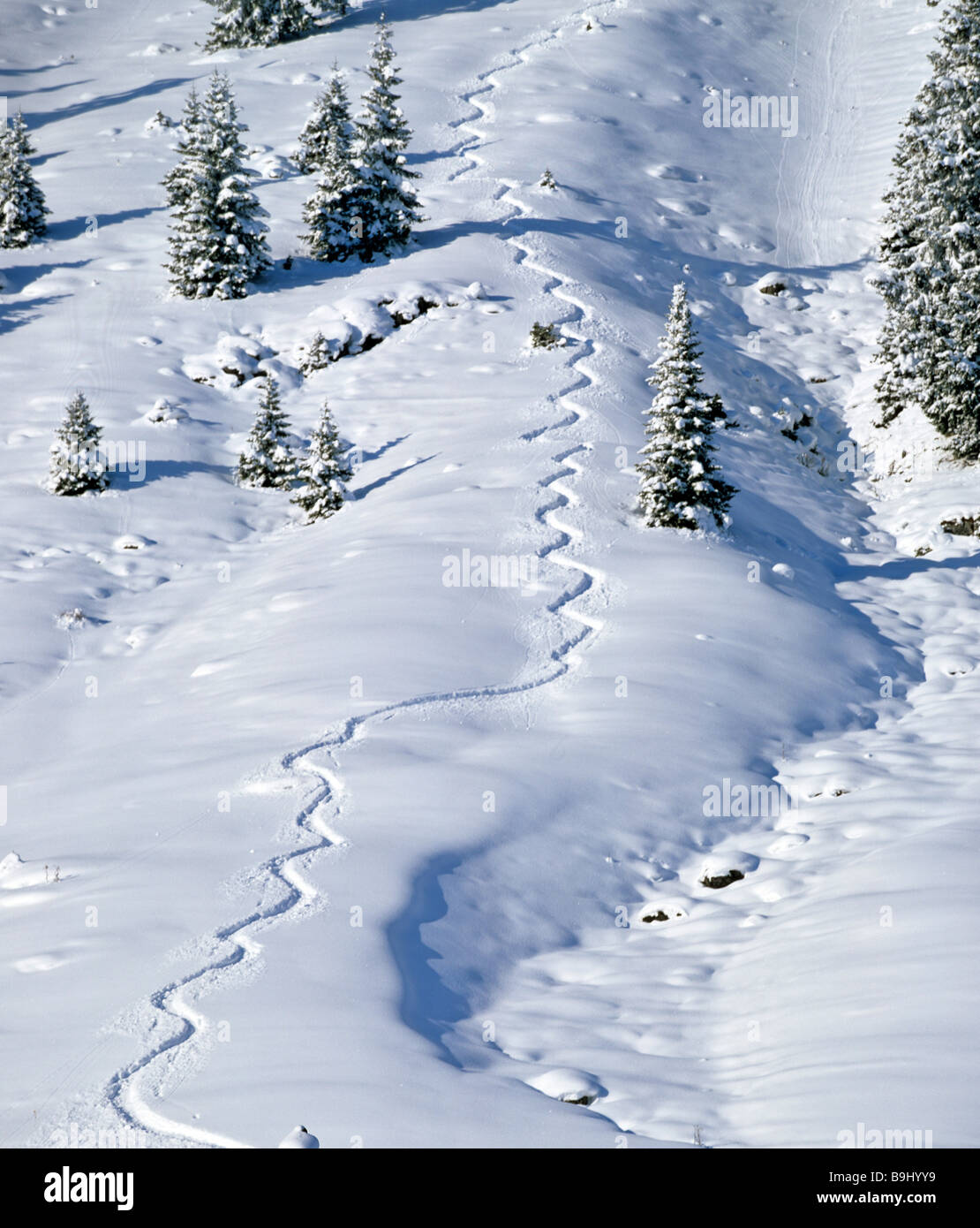 Des sentiers de ski dans la poudreuse profonde, wedeling, snoe-couverts paysage d'hiver Banque D'Images