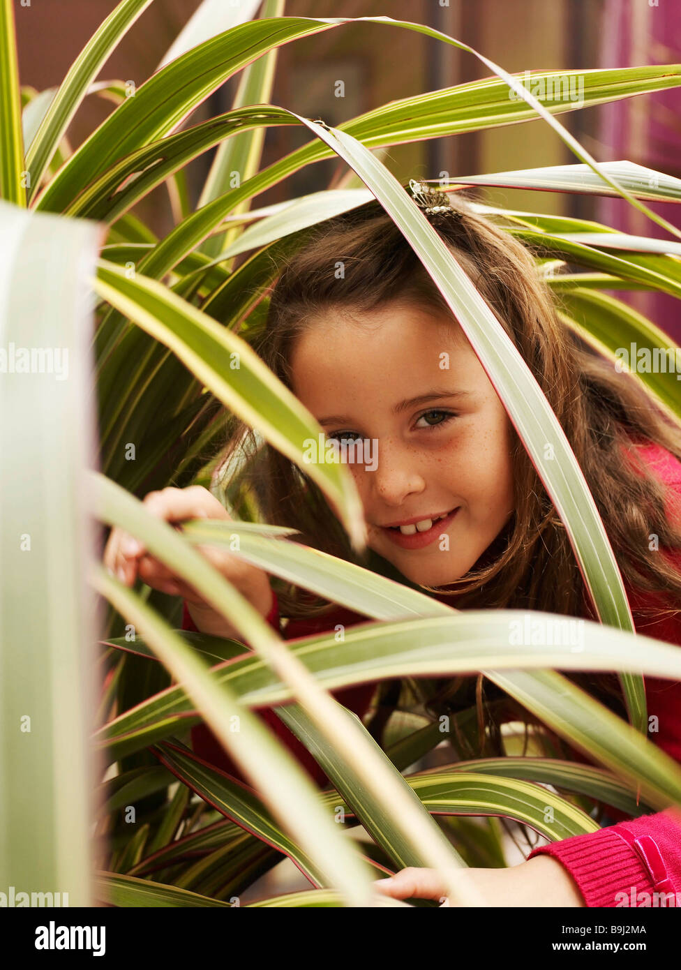 Girl peering through feuilles de plante Banque D'Images