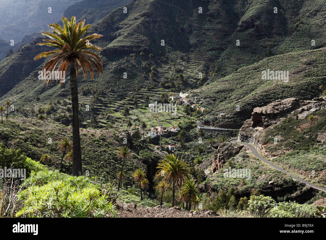 Lo del Gato, Barranco de Benchijigua, La Gomera, Canary Islands, Spain, Europe Banque D'Images