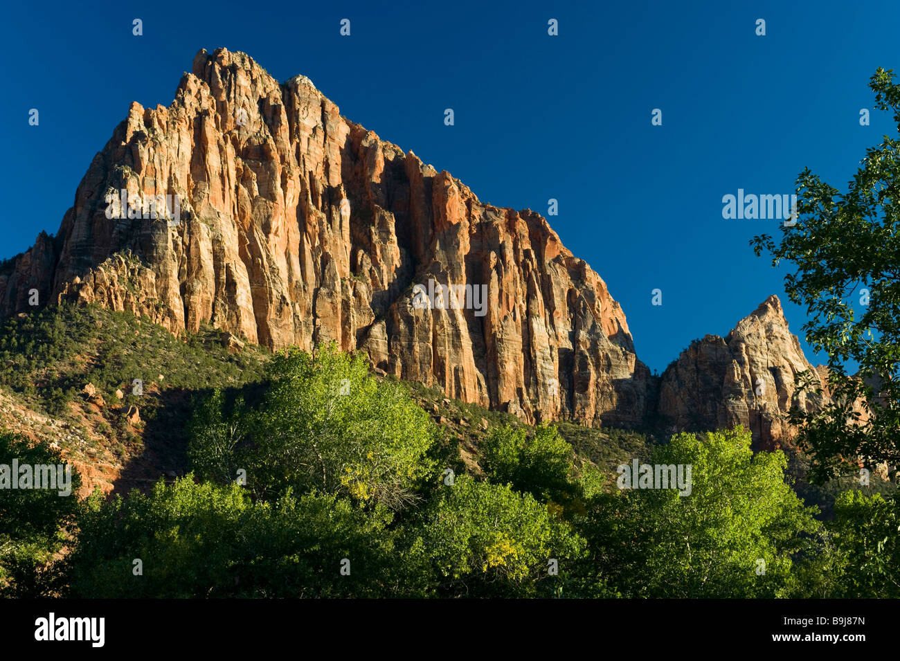 Montagne, la Sentinelle, Sion, National Park, Utah, USA Banque D'Images