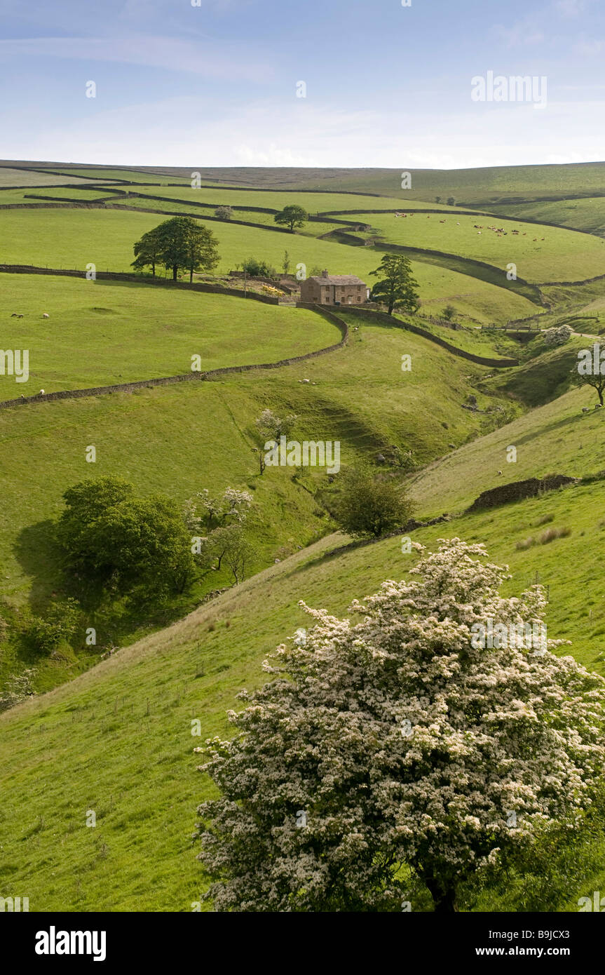 Les terres agricoles près de Buxton Peak District National Park, Cheshire, Grande-Bretagne, Europe Banque D'Images