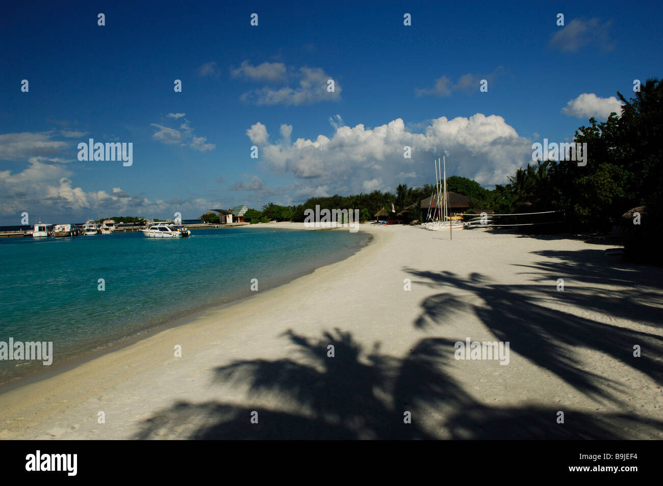 L'ombre de palmiers, Full Moon Resort, Maldives, océan Indien Banque D'Images