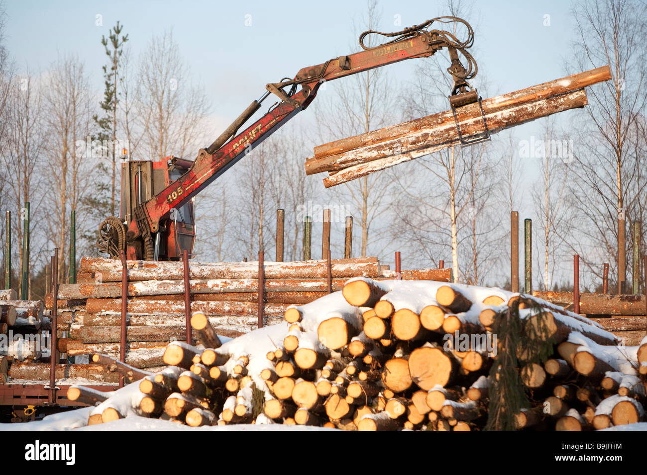 Consigner le conducteur de camion à l'aide d'une grue de camion et charger les journaux dans les wagons de train de grumes de fret au dépôt de chemin de fer à l'hiver . Finlande Banque D'Images