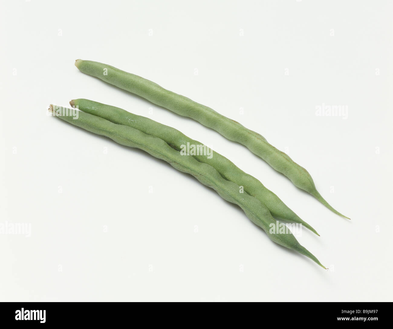 Haricots verts Banque D'Images