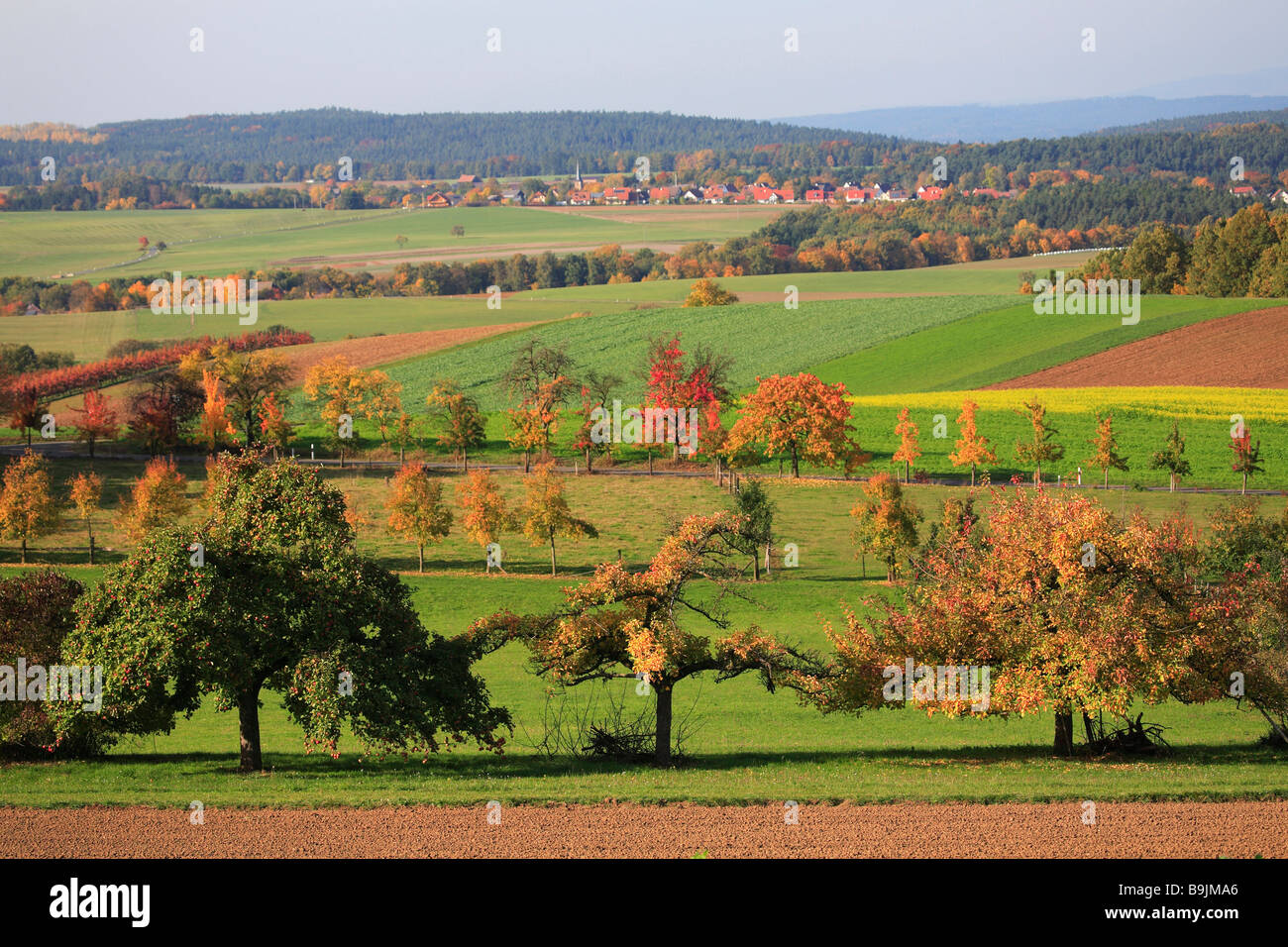 Dans Autumnscene Upperfrankonia Allemagne Bavière Banque D'Images