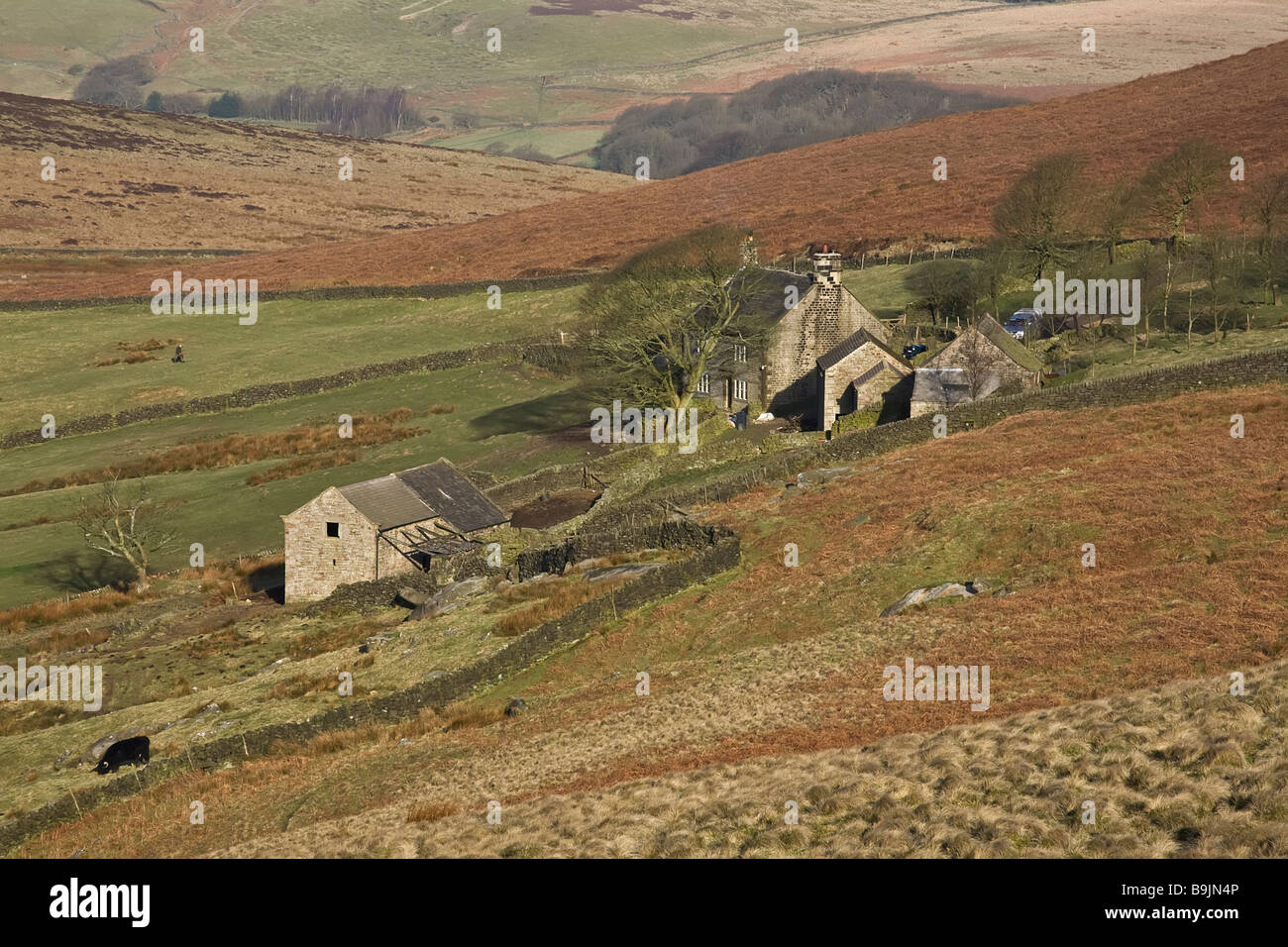 PEAK DISTRICT, champs agricoles,,HILLS Banque D'Images