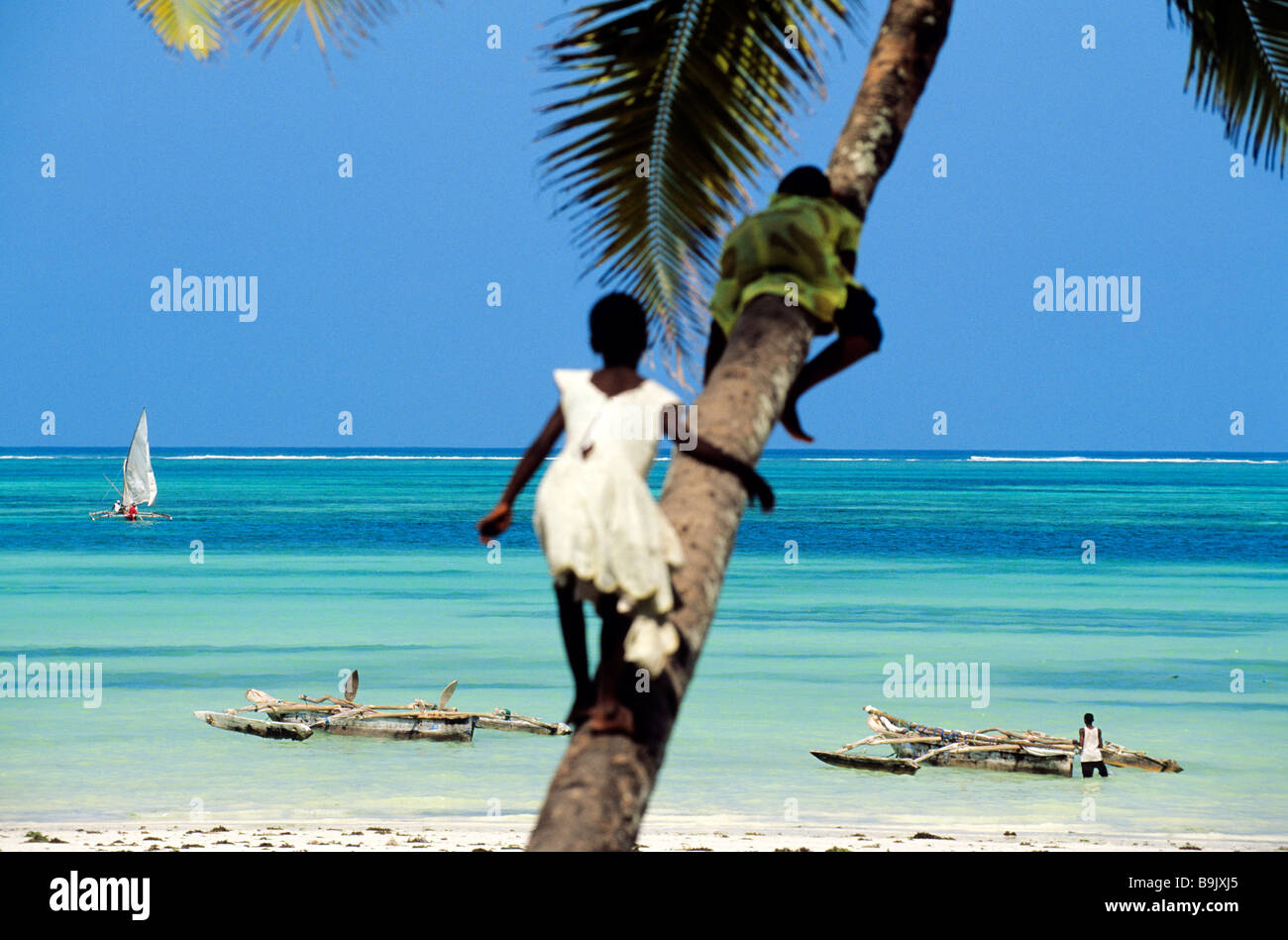 La Tanzanie Larchipel De Zanzibar Lîle Dunguja