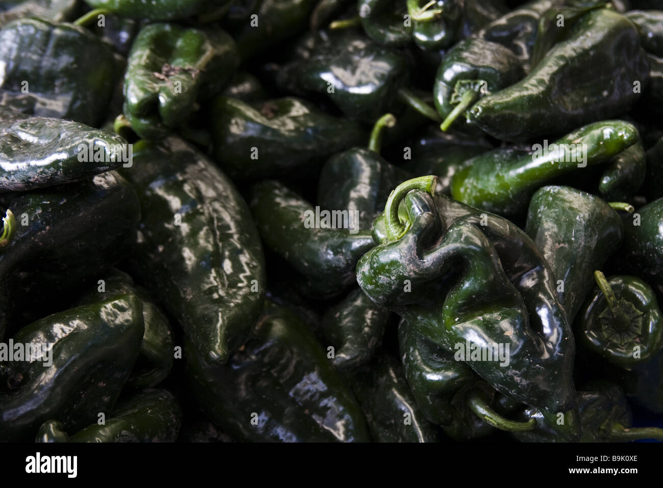 Piments Poblano réside dans une pile en vente sur un marché à Mexico, Mexique. Banque D'Images