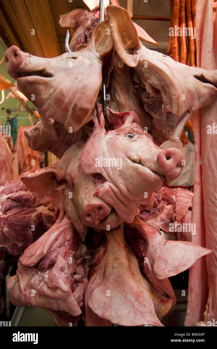 Têtes de cochon décapité suspendre à un crochet à un boucher en décrochage du marché de La Merced, à Mexico (Mexique). Banque D'Images