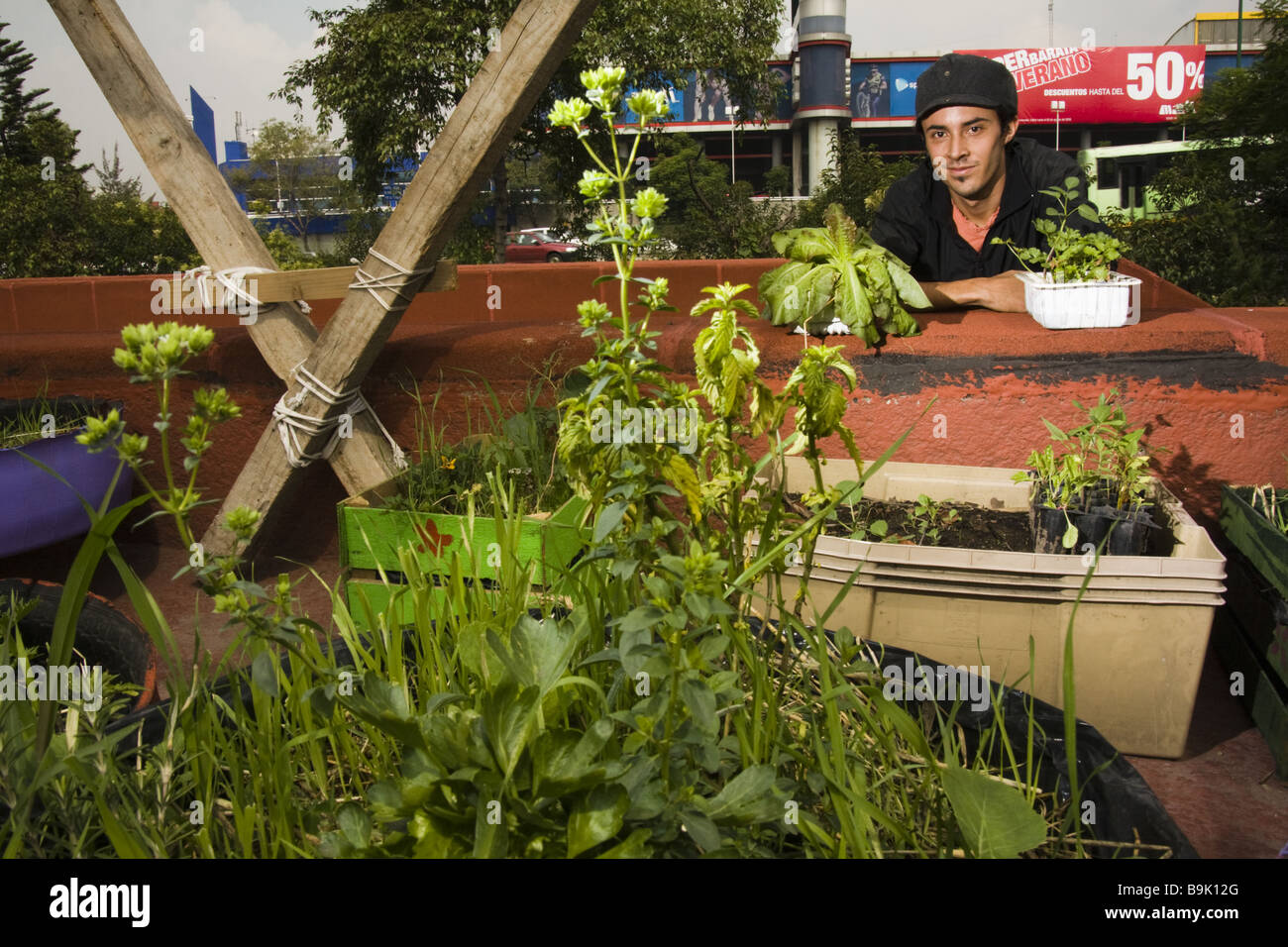 Le directeur de l'Azoteas Verdes pose avec son jardin sur le toit de démonstration dans la ville de Mexico, Mexique. Banque D'Images