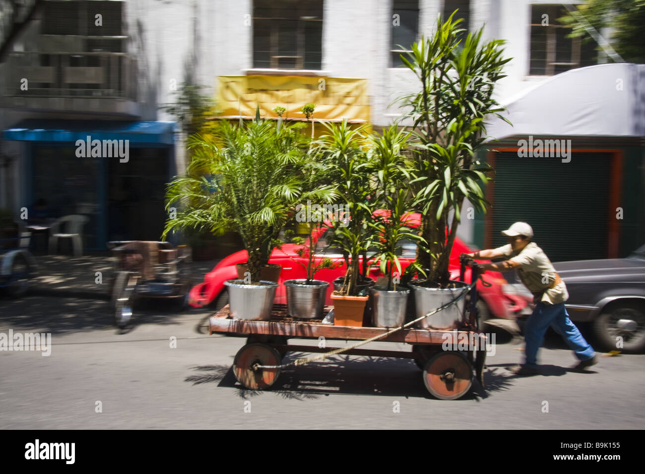 Un homme pousse un panier de plantes en pot dans une rue de quartier Condesa, Mexico, Mexique. Banque D'Images