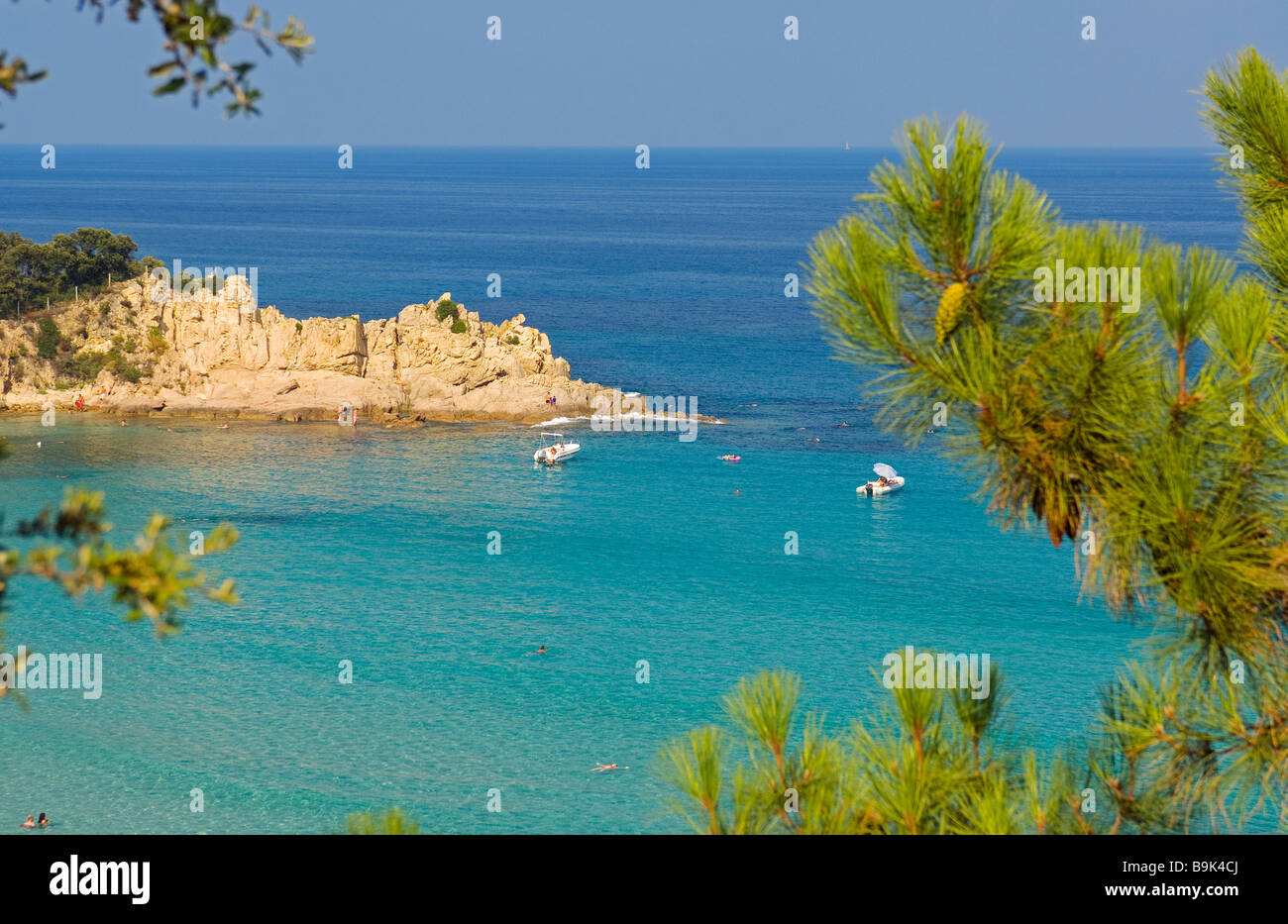 France Corse Du Sud Côte Orientale Près De La Plage De