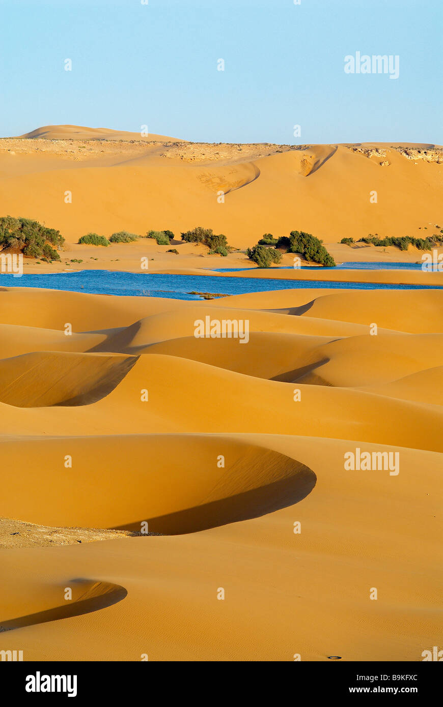 Le Maroc, dans le sud du Maroc, région de Laayoune, désert et laguna (ancien Sahara espagnol) Banque D'Images