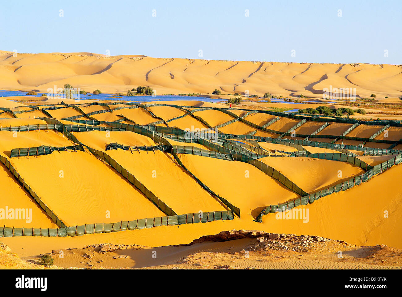 Le Maroc, dans le sud du Maroc, région de Laayoune, désert et laguna, dunes protection system(ex Sahara espagnol) Banque D'Images