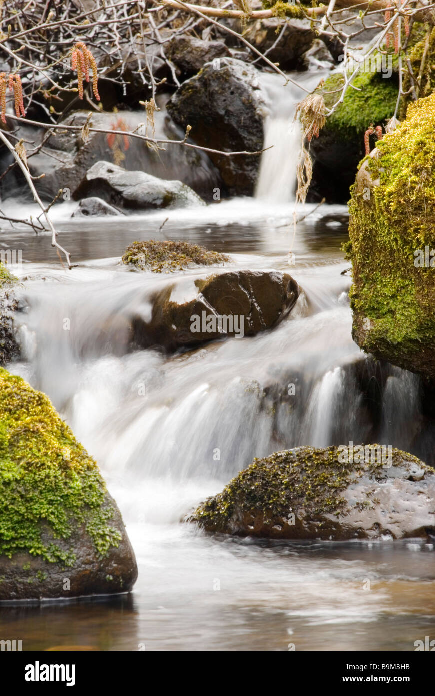 Une cascade de montagne cascade sur des roches couvertes de mousses en automne Banque D'Images