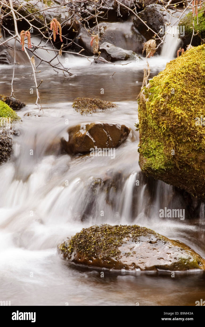 Une cascade de montagne cascade sur des roches couvertes de mousses en automne Banque D'Images