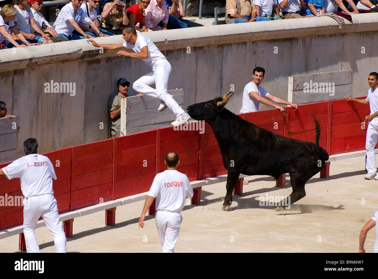 La France, Gard, Nîmes, arènes, course Camarguaise, traditionnelle course de Bull a joué en Camargue Banque D'Images