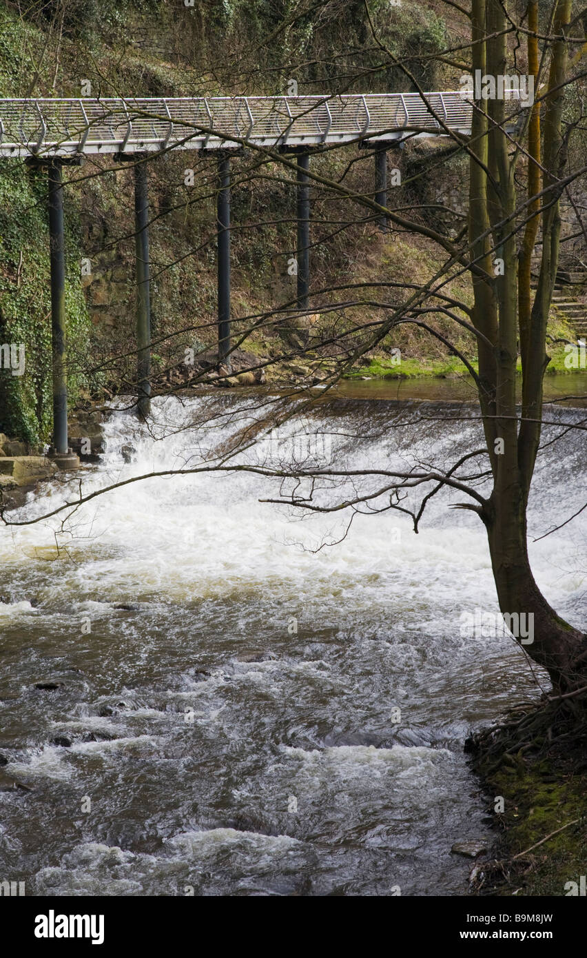 Objectifs du Millénaire pour piétons le long de la rivière Goyt. New Mills, Derbyshire, Royaume-Uni. Banque D'Images