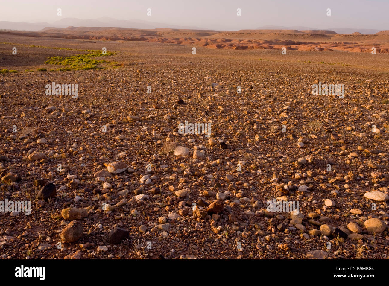 Désert pierreux ou Hamada à l'ouest de Ouazarzade sur le bord du Sahara sud Maroc Banque D'Images