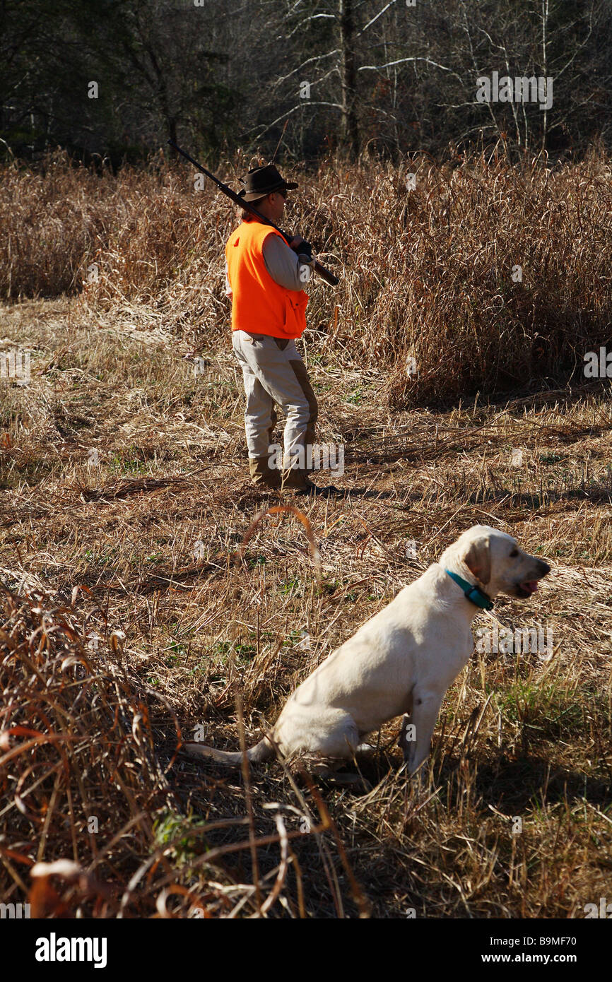 Gilet de securite orange en chasseur fusil detient sur l epaule avec labrador retriever blanc en premier plan Photo Stock Alamy