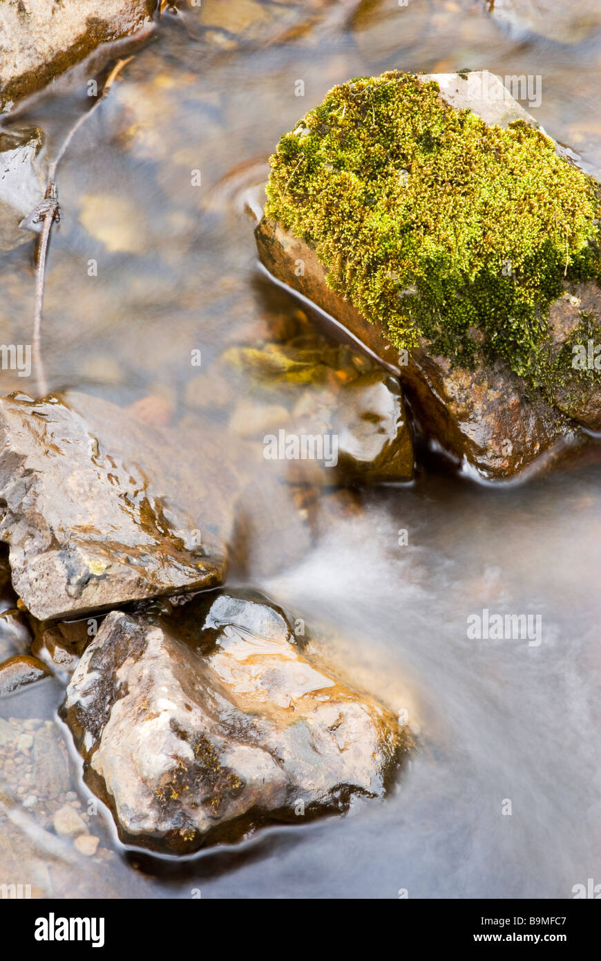 Un ruisseau de montagne coule sur des roches couvertes de mousses en automne Banque D'Images