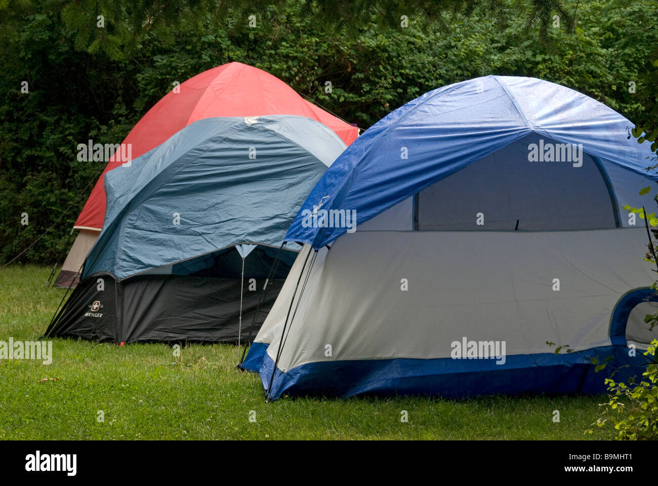 Trois tentes mis en place dans le parc avec la forêt en arrière-plan. Banque D'Images