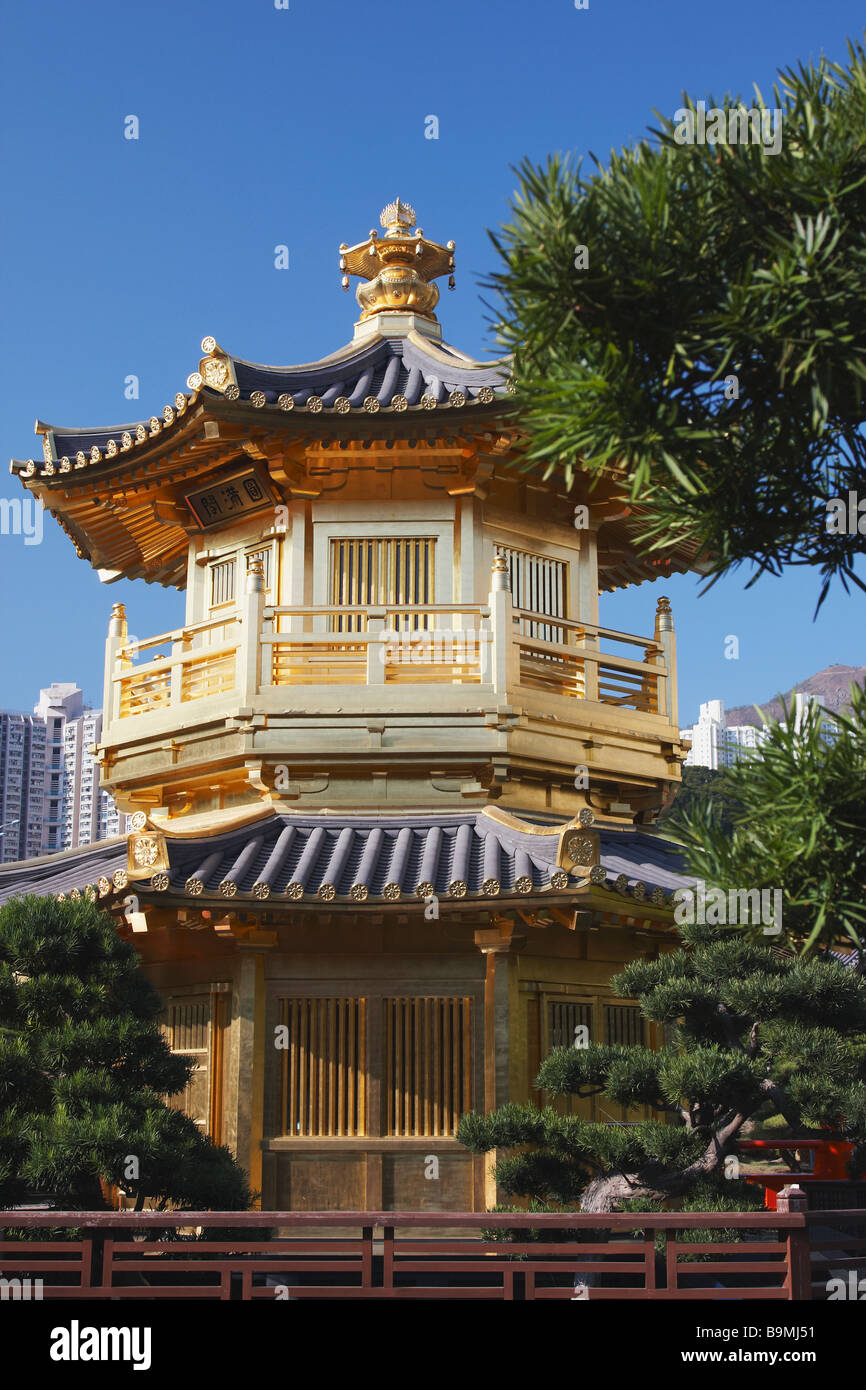 La Pagode d'or dans la région de Nan Lian Garden, Chi Lin Nunnery, Diamond Hill, Kowloon, Hong Kong Banque D'Images