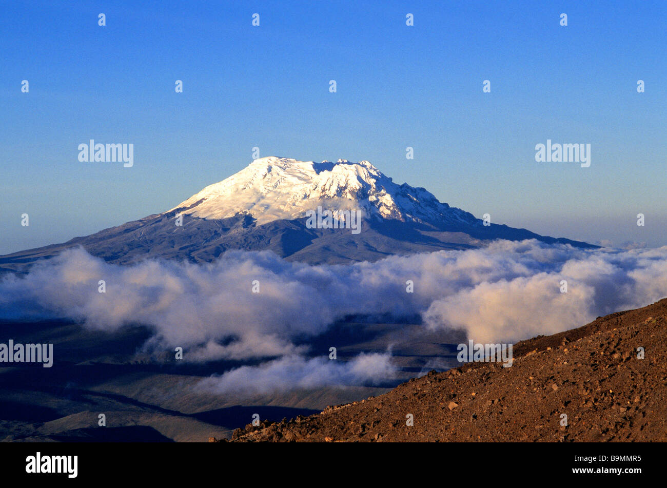 L'Equateur, province de Napo, cordillère Royale, volcan Cotopaxi Banque D'Images