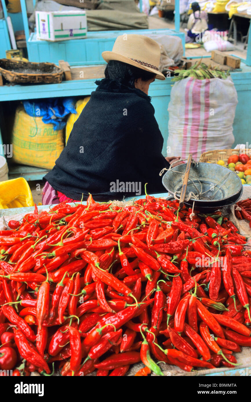 L'Equateur, province de Azuay, Cuenca, cholita avec un chapeau de Panama au marché aux légumes Banque D'Images