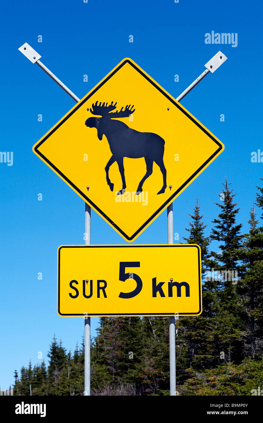 Canada, Quebec Province, Moose Crossing Road Sign Banque D'Images