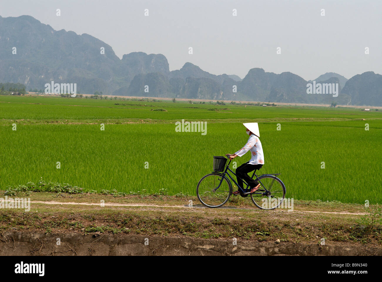 Le Vietnam. Ninh Binh, Kenh Ga, des cyclistes dans les rizières Banque D'Images