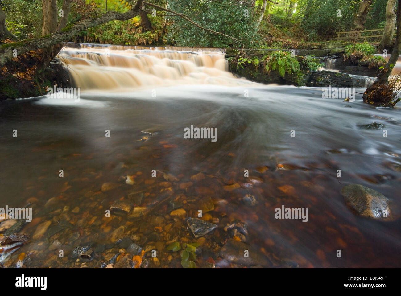 L'eau coule sur le seuil du moulin à papier Le barrage sur le fleuve, dans la vallée de Rivelin Rivelin, Sheffield. Banque D'Images