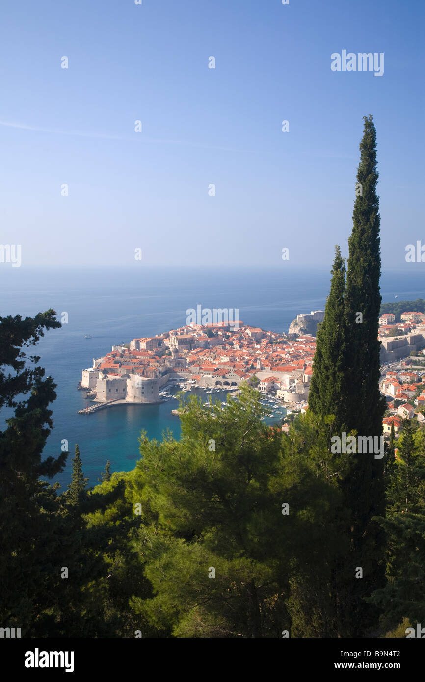 La vieille ville de Dubrovnik dans le soleil d'été de la côte dalmate Croatie Europe Banque D'Images