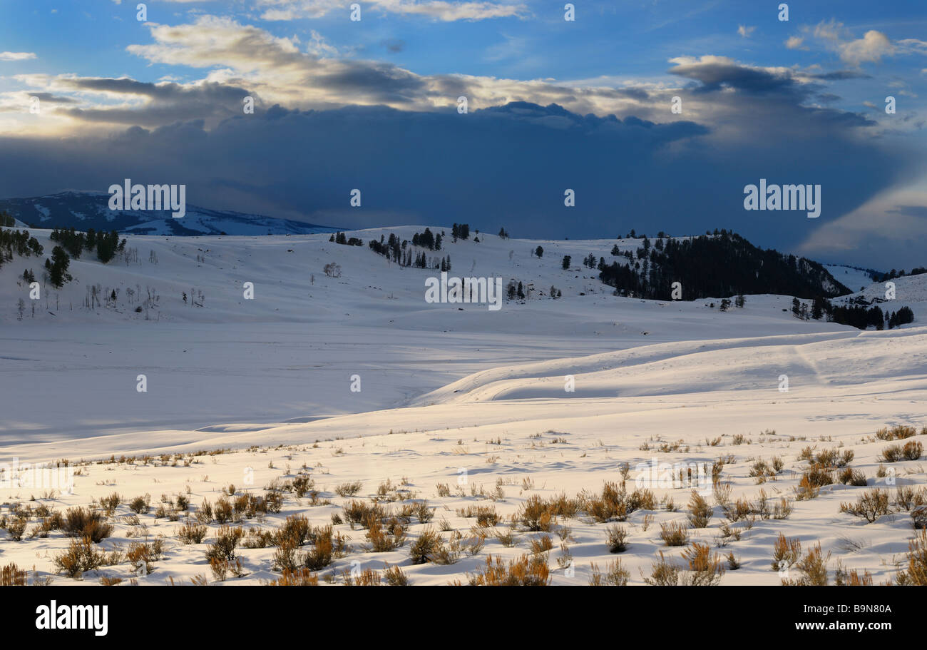 Coucher du soleil d'hiver dans la région de Lamar Valley Parc National de Yellowstone au Wyoming Banque D'Images