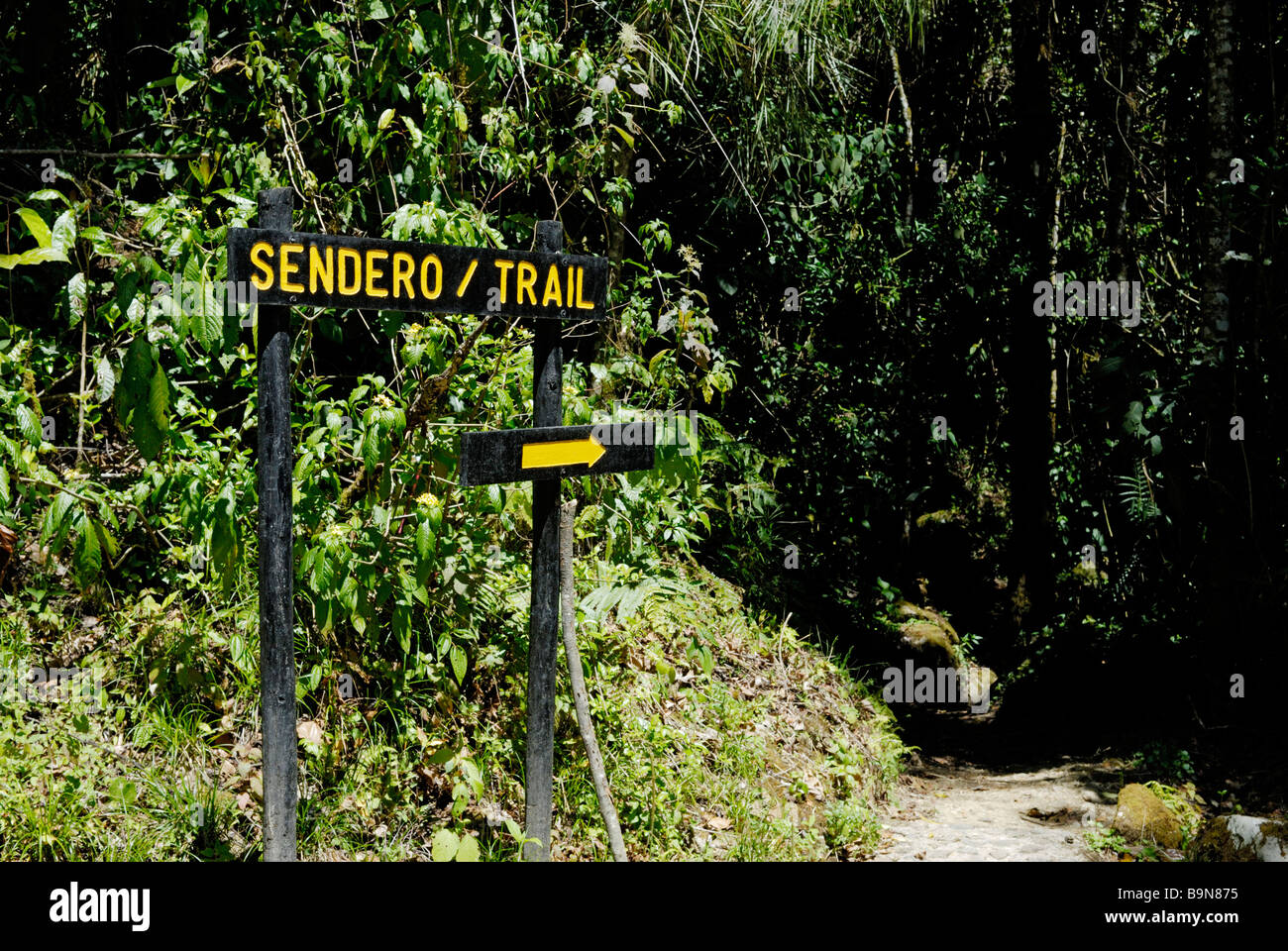 Sentier sentier signe, Costa Rica Banque D'Images