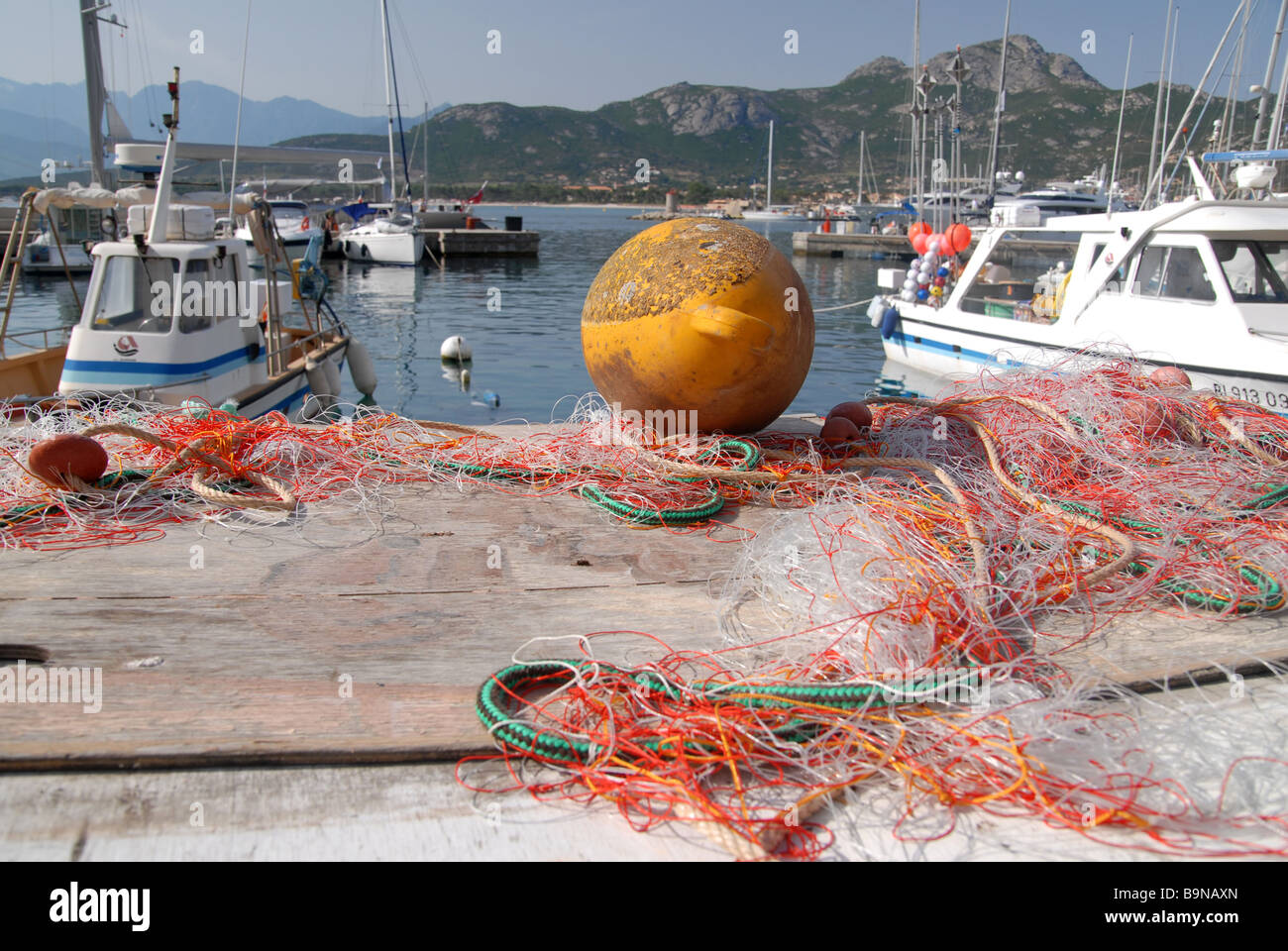 Les bateaux de pêche avec des filets sur le port de Calvi, Corse, France Banque D'Images