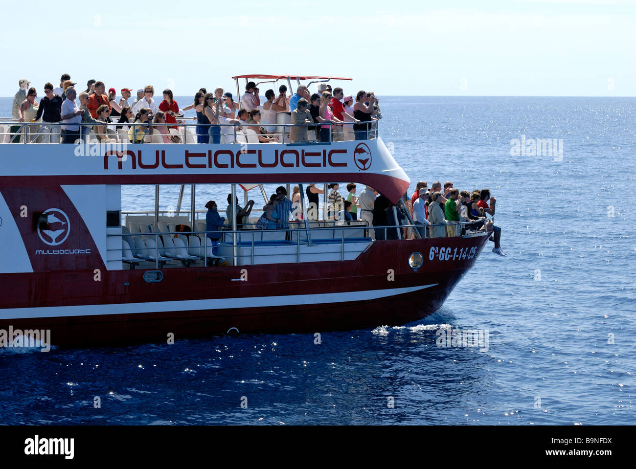 L'exciment parmi les touristes sur le bateau de recherche dolphin, Puerto Rico, Gran Canaria, Îles Canaries, Espagne, Europe. Banque D'Images