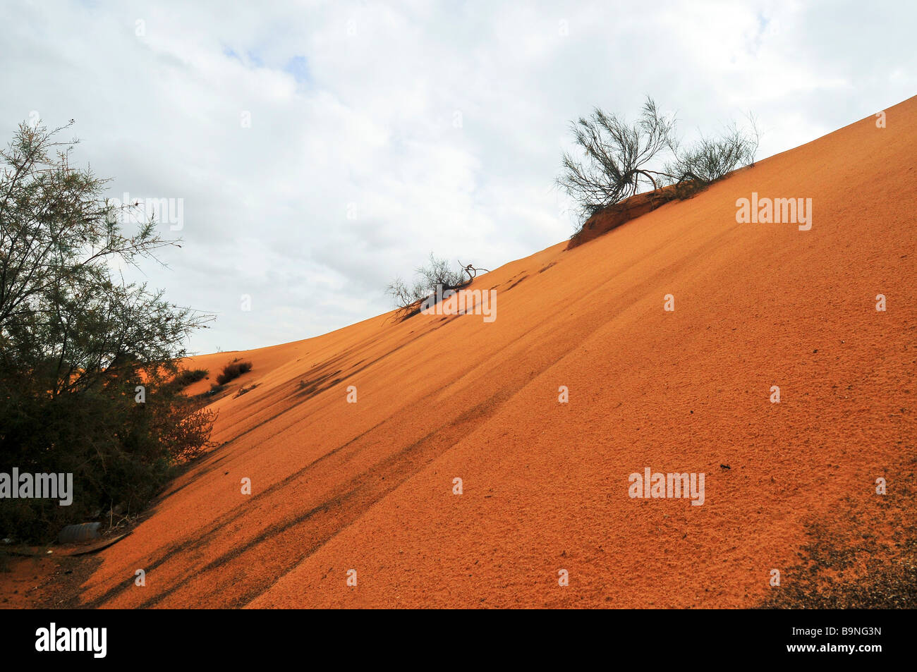 Dunes de sable du désert du Néguev en Israël Banque D'Images