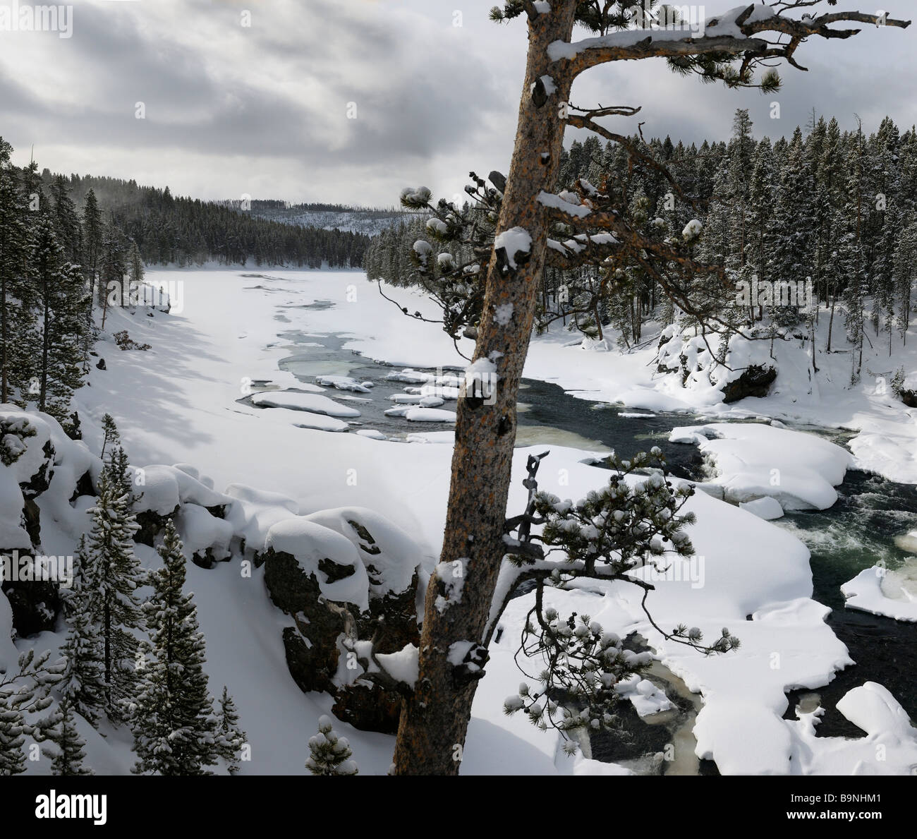South Rim pont routier sur la rivière Yellowstone au sud de la tombe à Canyon Village en hiver le Parc National de Yellowstone au Wyoming USA Banque D'Images
