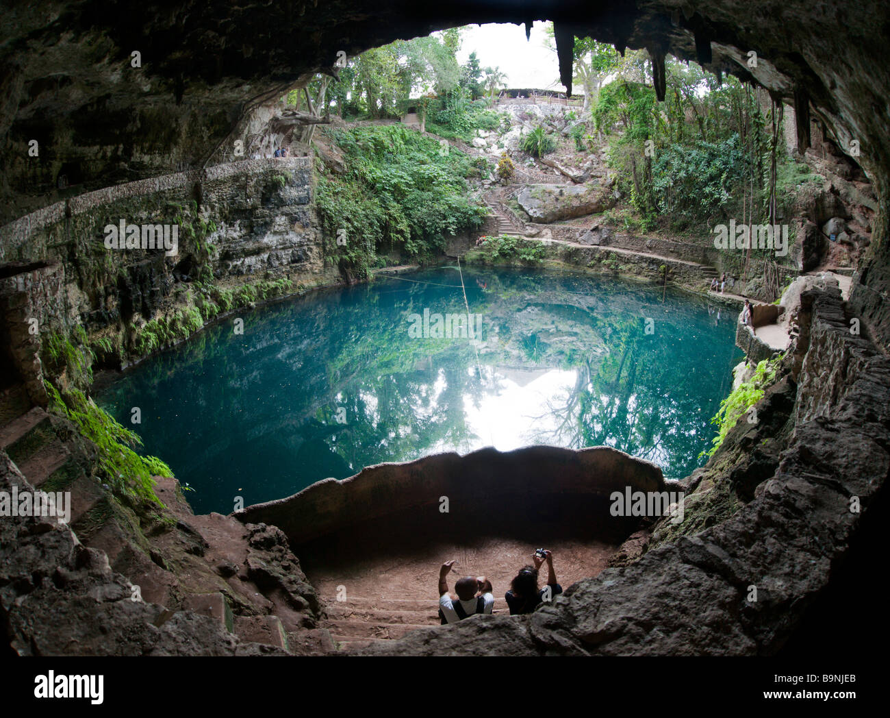 Yucatan cenote Banque de photographies et d’images à haute résolution — free download