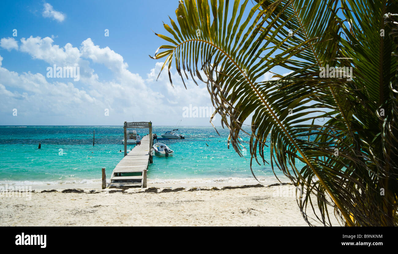 Mexique Yucatan - village de pêcheurs et station balnéaire tranquille petite plage de Puerto Morelos au sud de cancan, palmier et ancien embarcadère Banque D'Images Mexique Yucatan - village de pêcheurs et station balnéaire tranquille petite plage de Puerto Morelos au sud de cancan, palmier et ancien embarcadère Banque D'Images