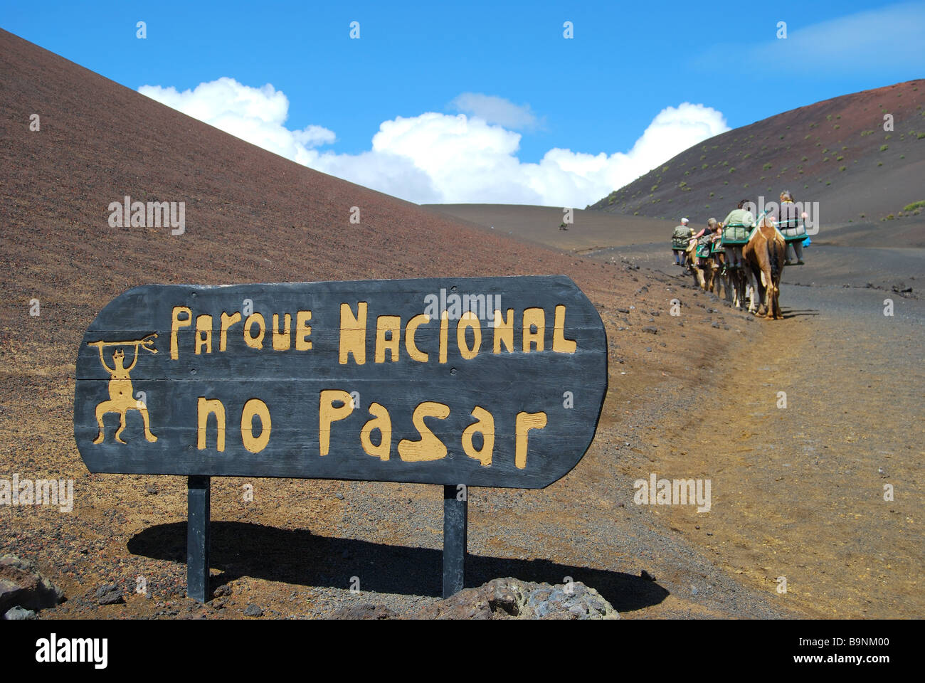Promenades en chameau, le Parc National de Timanfaya, Lanzarote, îles Canaries, Espagne Banque D'Images