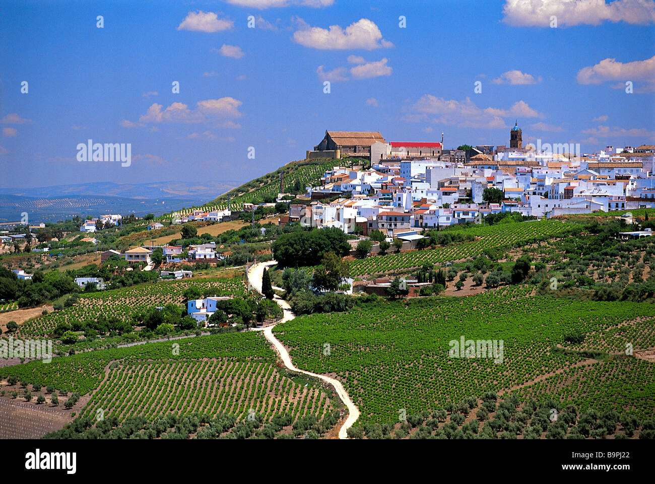 Espagne, Andalousie, Alhama de Granada, village blanc Banque D'Images