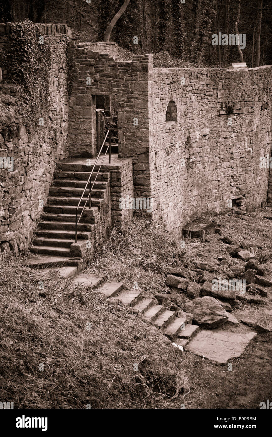 Ruines de Rock Mills en sépia le long de la River Goyt. New Mills, Derbyshire, Royaume-Uni. Banque D'Images